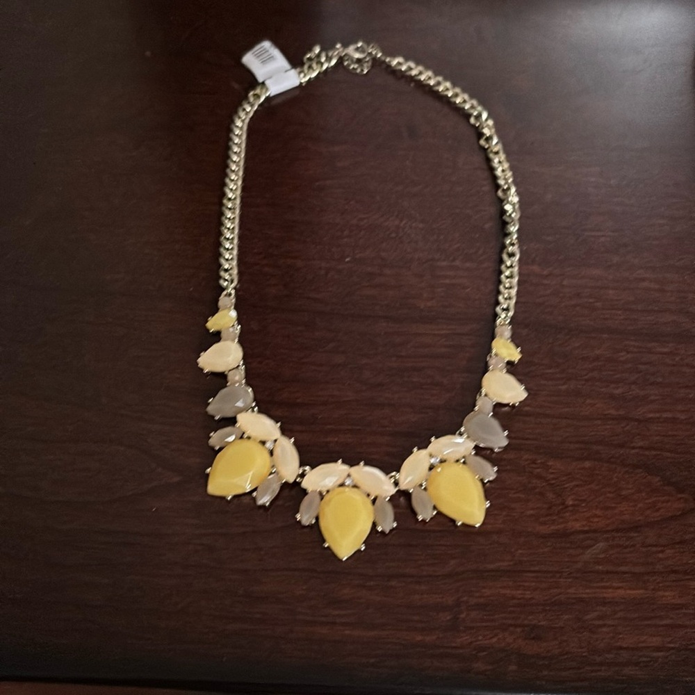 NWT costume necklace